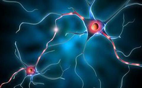 腺苷在神经变性和脑再生中的作用