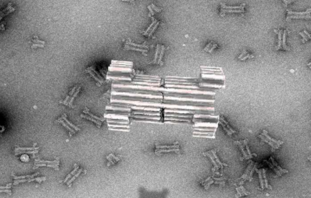 研究人员创造了由DNA制成的合成纳米孔