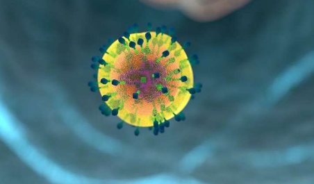 新模型解释了我们的免疫系统有时如何帮助癌症扩散