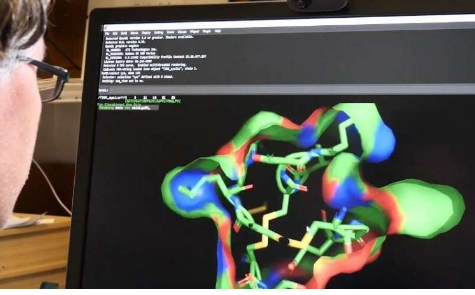 大自然衍生的肽作为研究细胞信号传导的分子工具