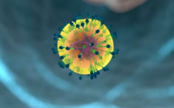 新模型解释了我们的免疫系统有时如何帮助癌症扩散