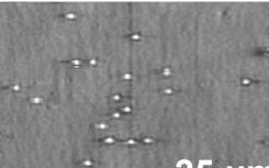 癌症标记物的单分子检测使液体活检更接近临床