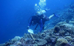 研究发现积极的社区行动可以帮助珊瑚礁健康