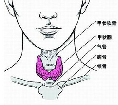 妊娠期甲状腺功能减退的研究保证