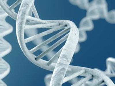 利比里亚的基因组学实验室能力支持埃博拉病毒爆发应对