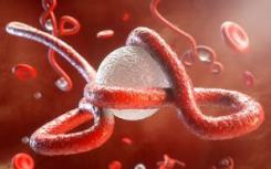 研究表明塞拉利昂的埃博拉病毒突变频率正常