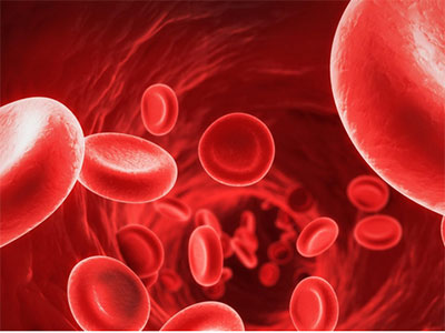 HSC表面标记在造血细胞发育中起关键作用