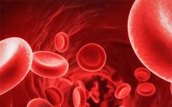 HSC表面标记在造血细胞发育中起关键作用