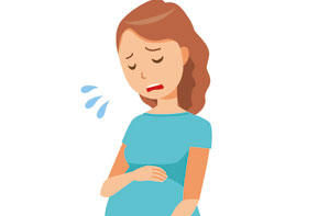 科普孕期保持均衡饮食习惯及几种枸杞的绝佳搭配 