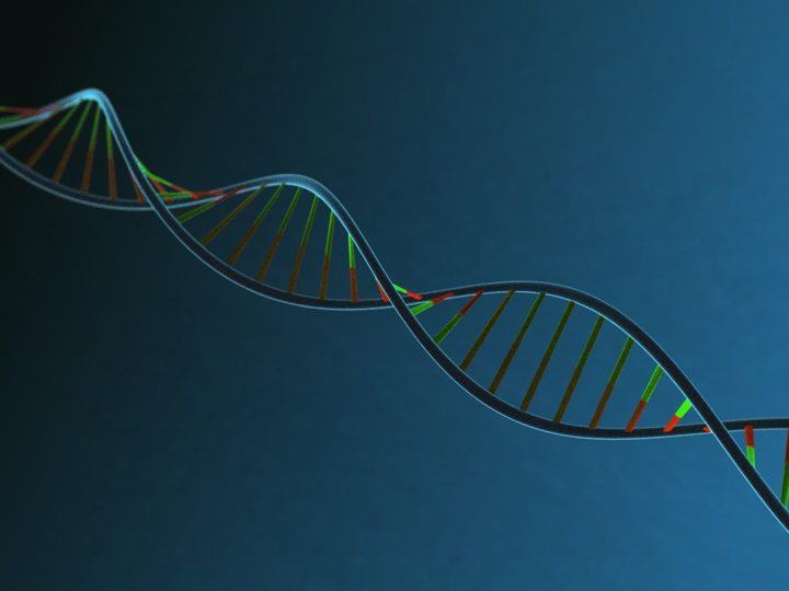 新机制描述基因组如何自我调节