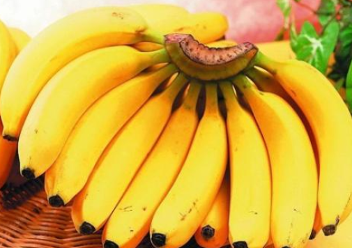 科普盘点女性常吃香蕉对健康的益处及助你远离肥胖和疾病