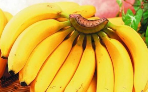 科普盘点女性常吃香蕉对健康的益处及助你远离肥胖和疾病