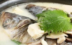 科普8大食疗养生好方法及饮食不规律的人多吃绿色更养生