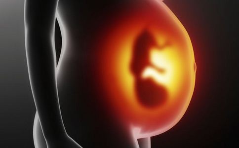 改善胎儿生长的药物可能会增加后代的血压和血糖水平