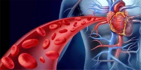 研究人员提出了一种早期评估女性血管功能的新方法