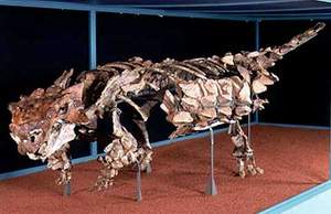 僵化的恐龙尾巴上有一个拥有6000万年历史的肿瘤
