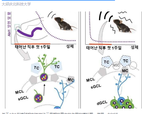 早期诊断神经发育障碍的可能性增加