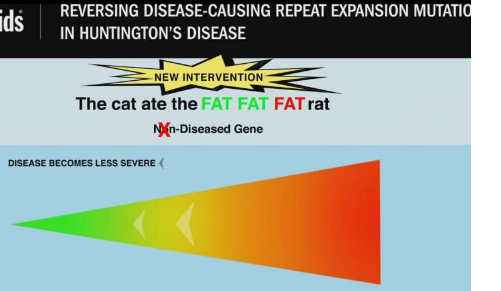 亨廷顿病致DNA重复突变在实验室被逆转