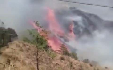 云南大理森林火灾   起火原因正在调查