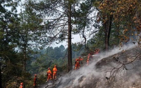 西藏林芝森林火灾 目前无人员伤亡