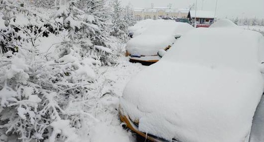 春日景象再次被打破  黑龙江等多地出现降雪