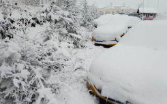 春日景象再次被打破  黑龙江等多地出现降雪