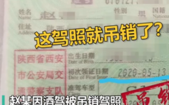 史上最短命驾照是什么梗？酒驾的危害有哪些？