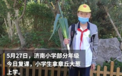 山东小学生复课带大葱   大葱有什么寓意？