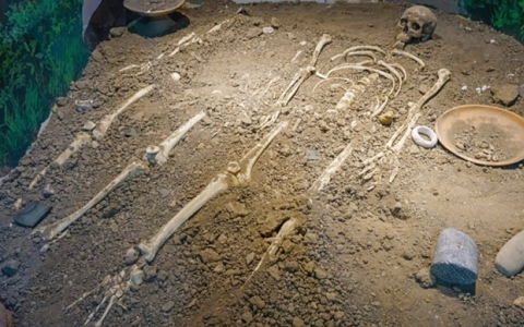 三门峡发现600多座古墓葬   出土文物2300多件