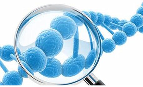 遗传病诊断四层次  检测基因产物为蛋白质