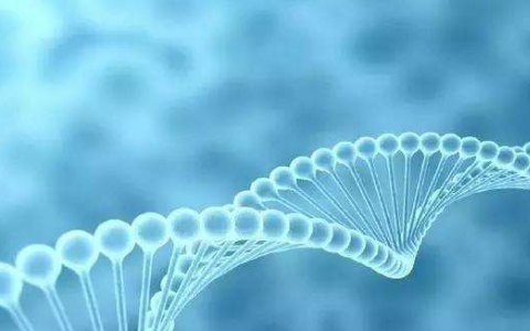 什么是基因自由组合定律？基因自由组合定律是谁发现的？