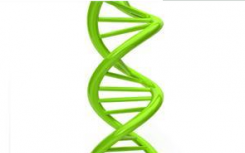 非编码DNA有什么作用？非编码DNA的绰号又是怎么来的？