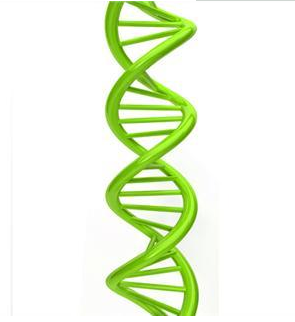 基因好的人有什么特征?修改基因有多可怕?