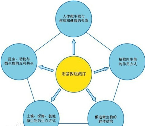 微生物基因组研究有什么作用？微生物基因组研究是什么时候开始的？