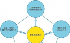 微生物基因组研究有什么作用？微生物基因组研究是什么时候开始的？