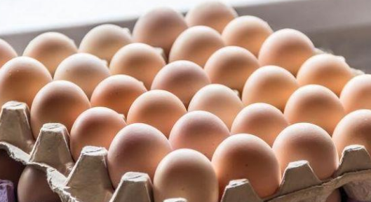 今日鸡蛋价格多少钱一斤？2020下半年鸡蛋价格预测