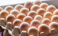 今日鸡蛋价格多少钱一斤？2020下半年鸡蛋价格预测