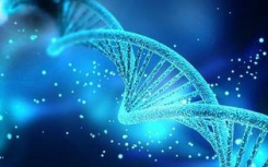 基因检测跟一般体检有什么区别?基因检测可以带来什么?