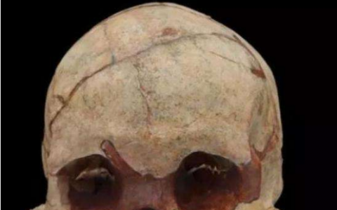 重大发现：广西隆安发现16000年前的人头骨化石