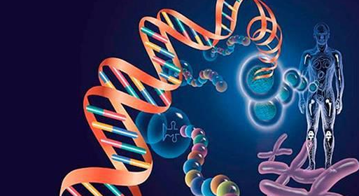 转基因工程步骤  非转基因和转基因哪个好？