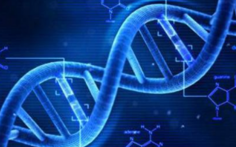 什么叫基因组学？基因组学概论