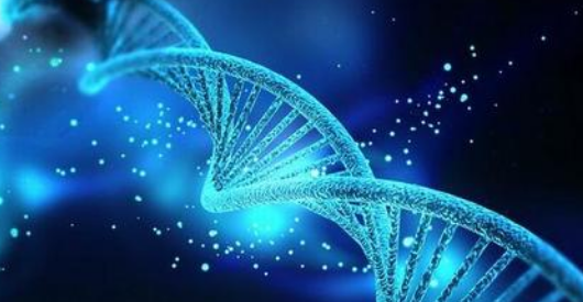 神奇的“基因剪刀”定义是什么？CRISPR-Cas9的优势有哪些？