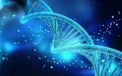 神奇的“基因剪刀”定义是什么？CRISPR-Cas9的优势有哪些？