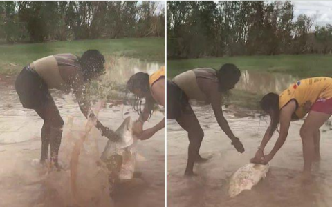 澳大利亚三名女子赤手空拳在洪水中捉到一条1.1米长大鱼 视频记录下了这个难忘的时刻