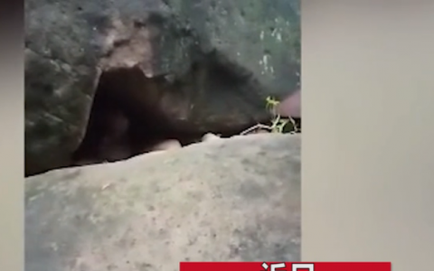 菲律宾一男子失踪好几条在石洞中被找到不愿离开 原因让人泪目