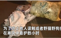 近日沈阳街头突然出现上百不明垃圾 民凑近一看吓到报警