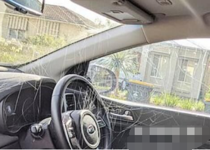 澳大利亚一名女司机车内发现大蜘蛛一脚踩扁 3天后车内一幕让她难以置信