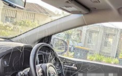 澳大利亚一名女司机车内发现大蜘蛛一脚踩扁 3天后车内一幕让她难以置信