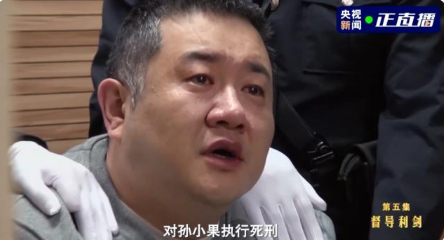 孙小果被执行死刑前现场视频首曝光 孙小果案件全过程详情始末介绍