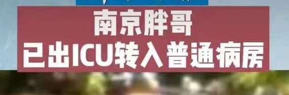 南京胖哥见义勇为是怎么回事？南京胖哥是做什么工作的?南京胖哥见义勇为事件详情始末回顾